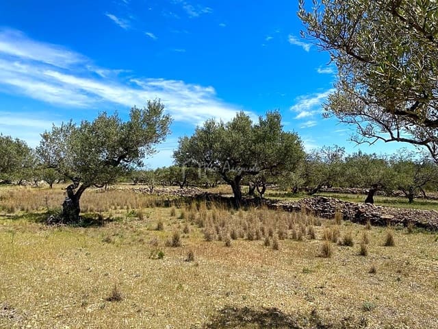 Ubebygd land til salgs i El Perelló - € 55 000 (Ref: 7546423)