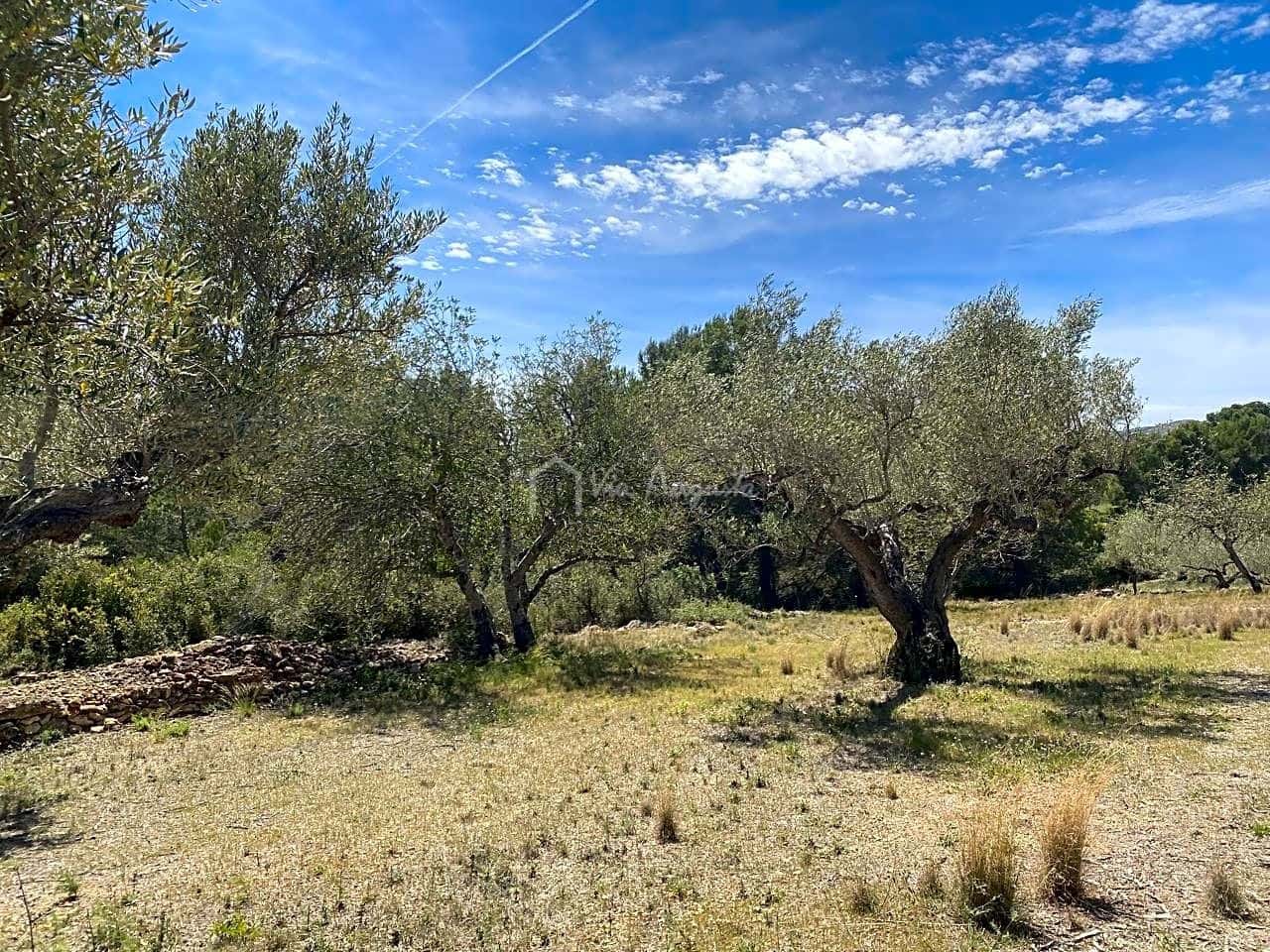 Ubebygd land til salgs i El Perello - € 55 000 (Ref: 7546423)