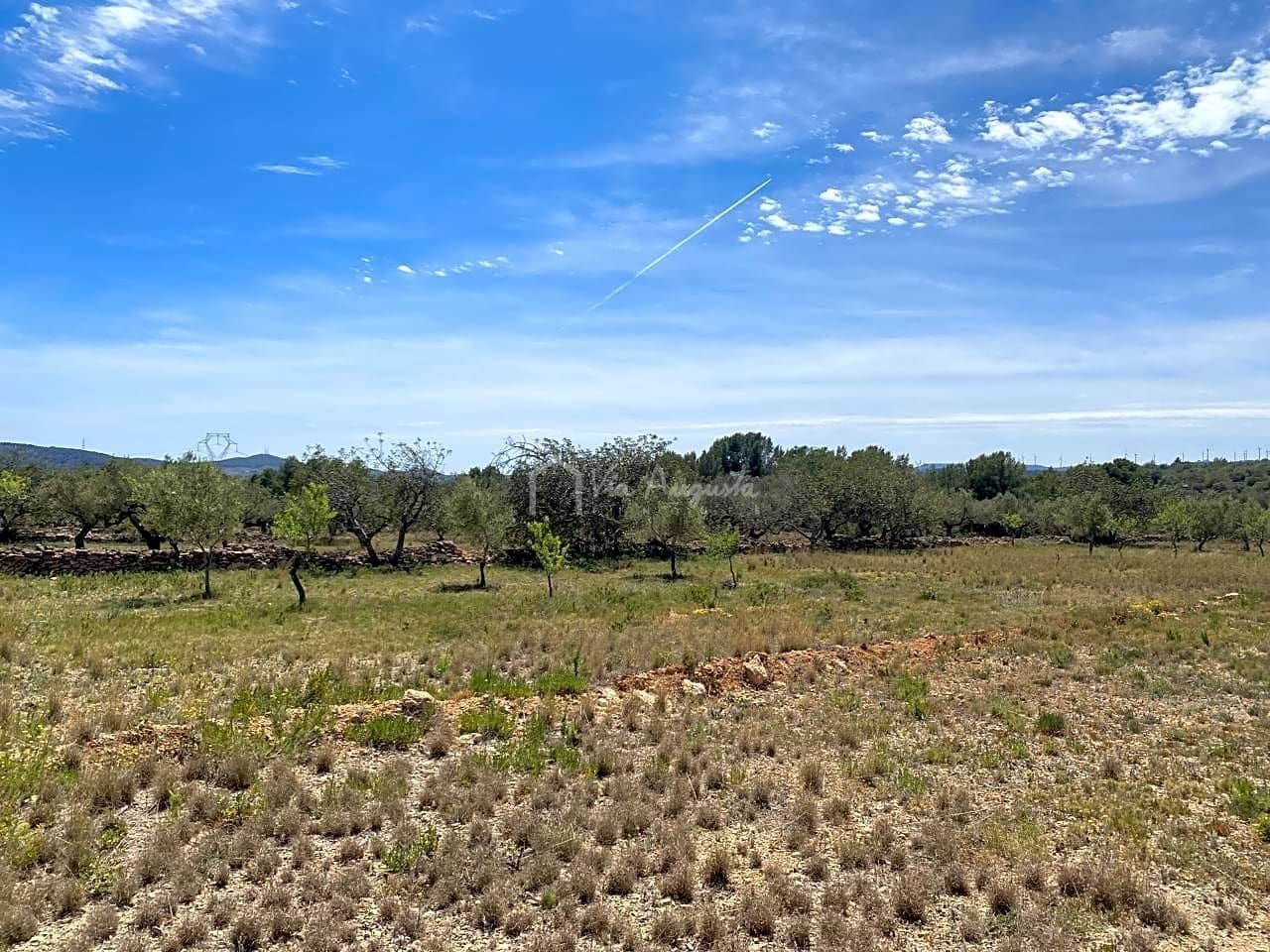 Ubebygd land til salgs i El Perello - € 55 000 (Ref: 7546423)