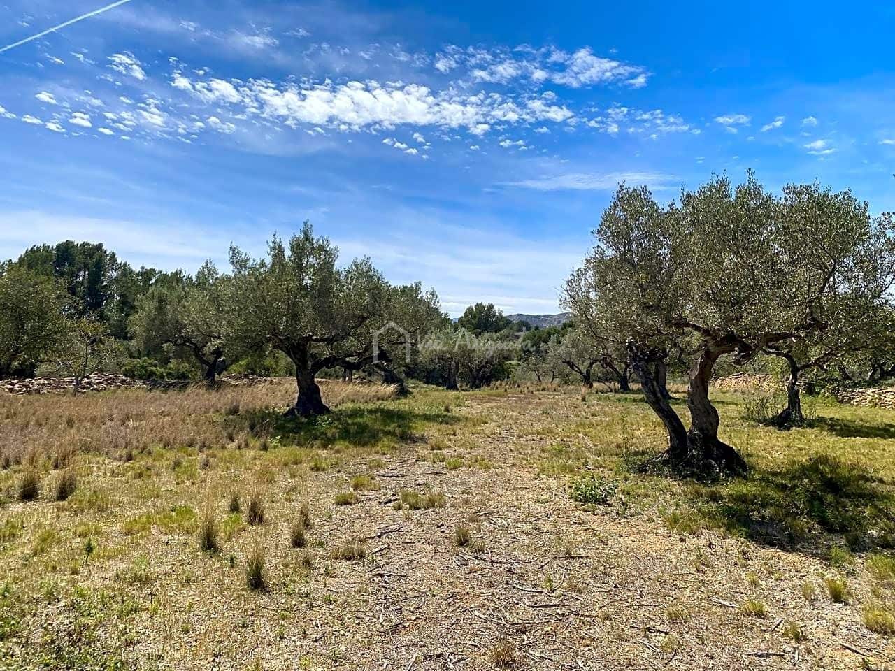 Ubebygd land til salgs i El Perello - € 55 000 (Ref: 7546423)
