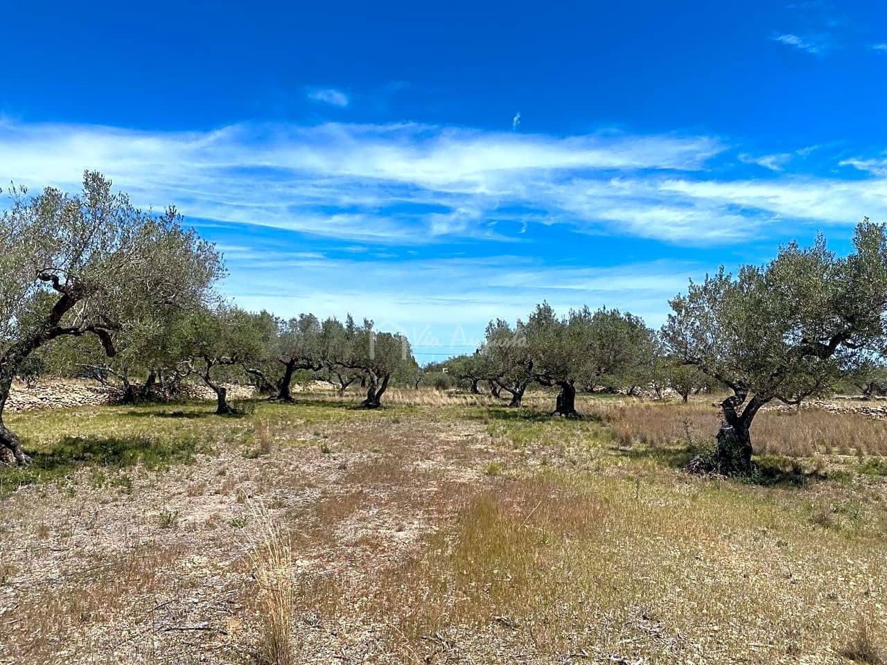 Ubebygd land til salgs i El Perello - € 55 000 (Ref: 7546423)