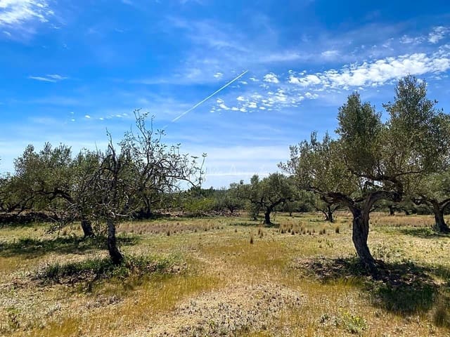 Ubebygd land til salgs i El Perelló - € 55 000 (Ref: 7546423)