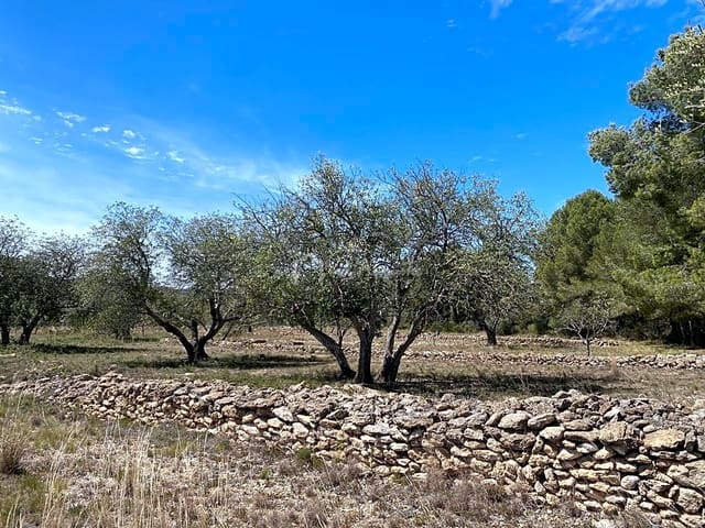 Ubebygd land til salgs i El Perelló - € 55 000 (Ref: 7546423)