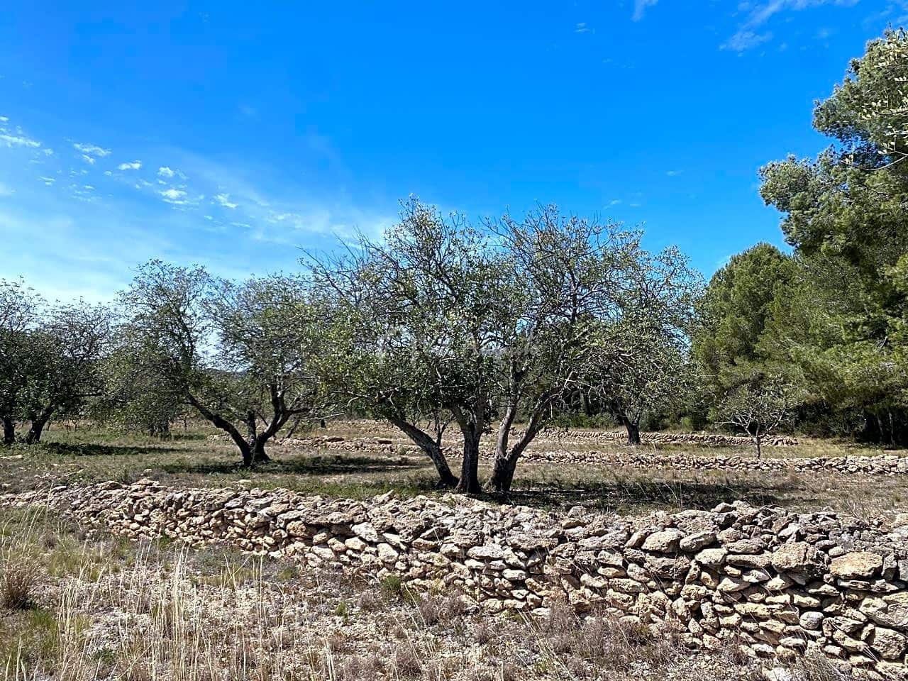 Ubebygd land til salgs i El Perello - € 55 000 (Ref: 7546423)