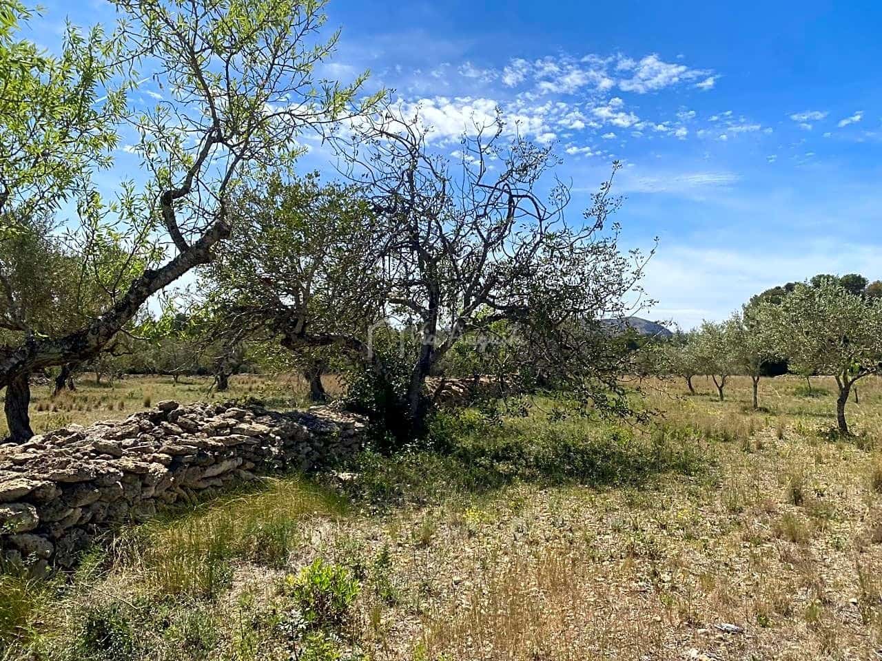 Ubebygd land til salgs i El Perello - € 55 000 (Ref: 7546423)