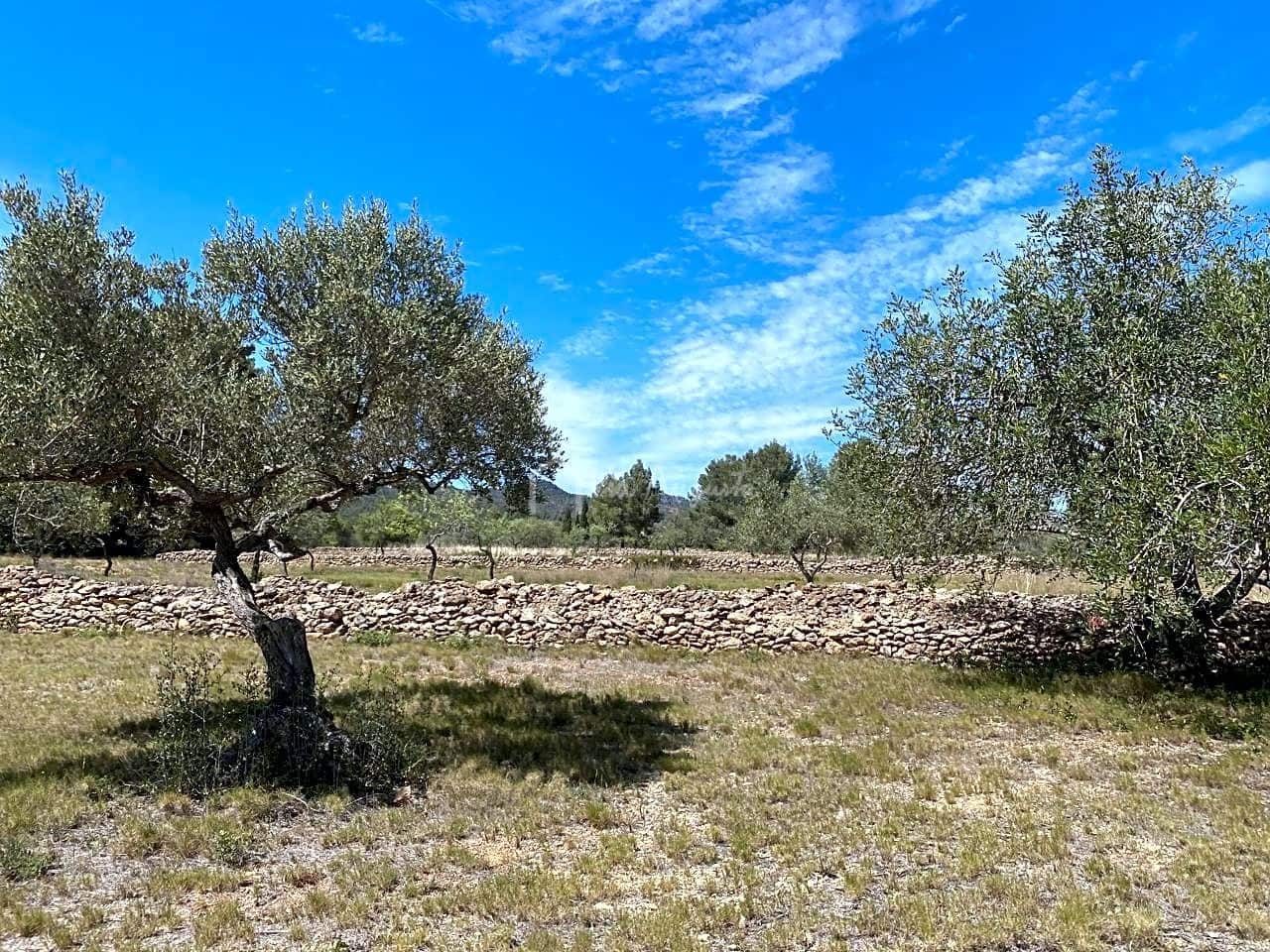 Ubebygd land til salgs i El Perello - € 55 000 (Ref: 7546423)