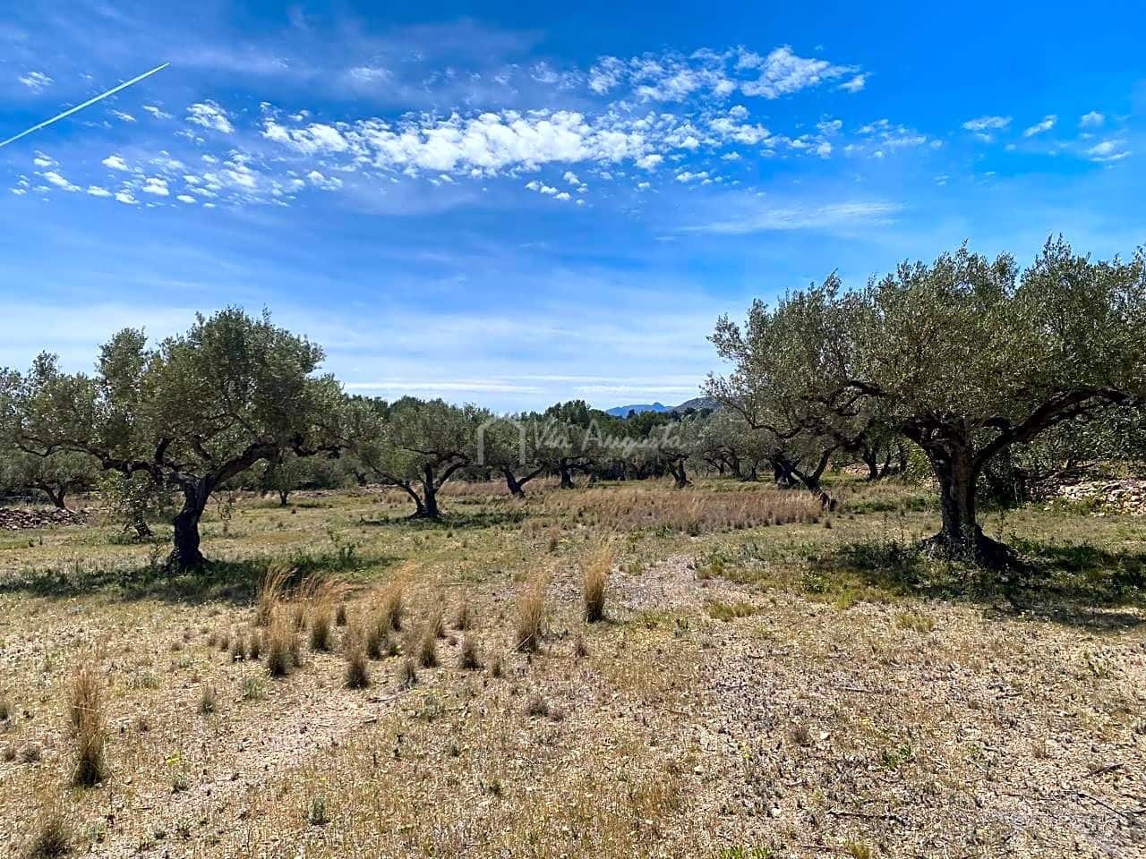 Ubebygd land til salgs i El Perello - € 55 000 (Ref: 7546423)