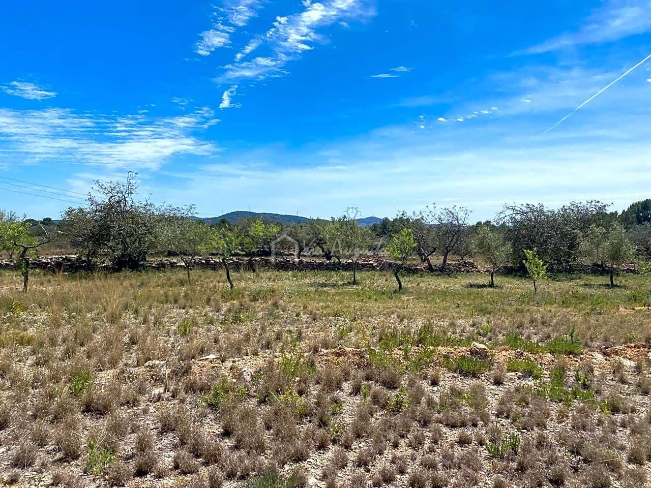 Ubebygd land til salgs i El Perello - € 55 000 (Ref: 7546423)