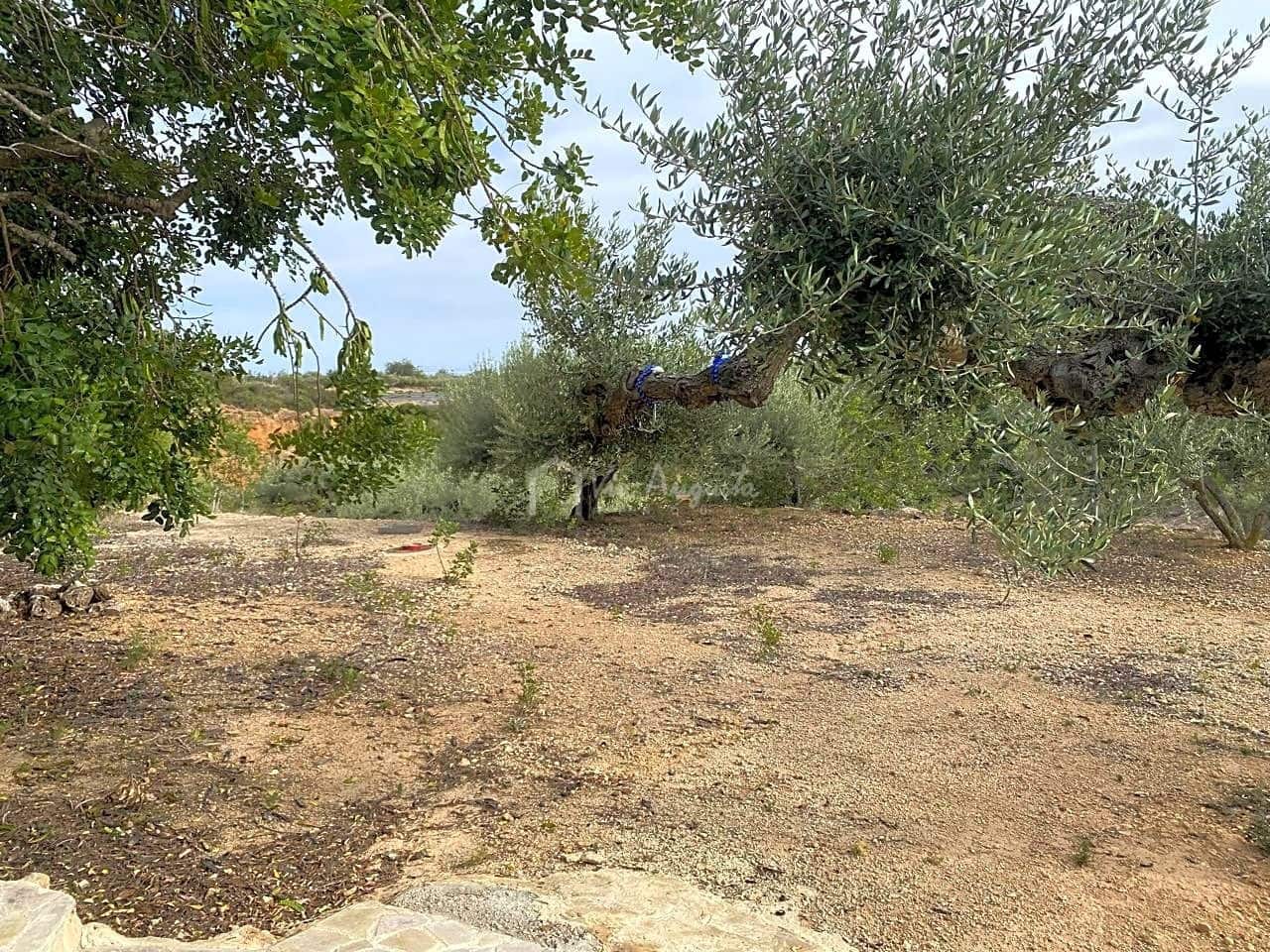 2 soveværelse Finca/Landehus til salg i L'Ampolla med swimmingpool - € 240.000 (Ref: 7598008)