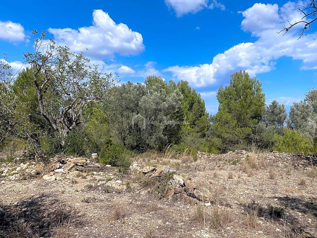 Terre non Aménagée à vendre à El Perello - 35 000 € (Ref: 7642285)