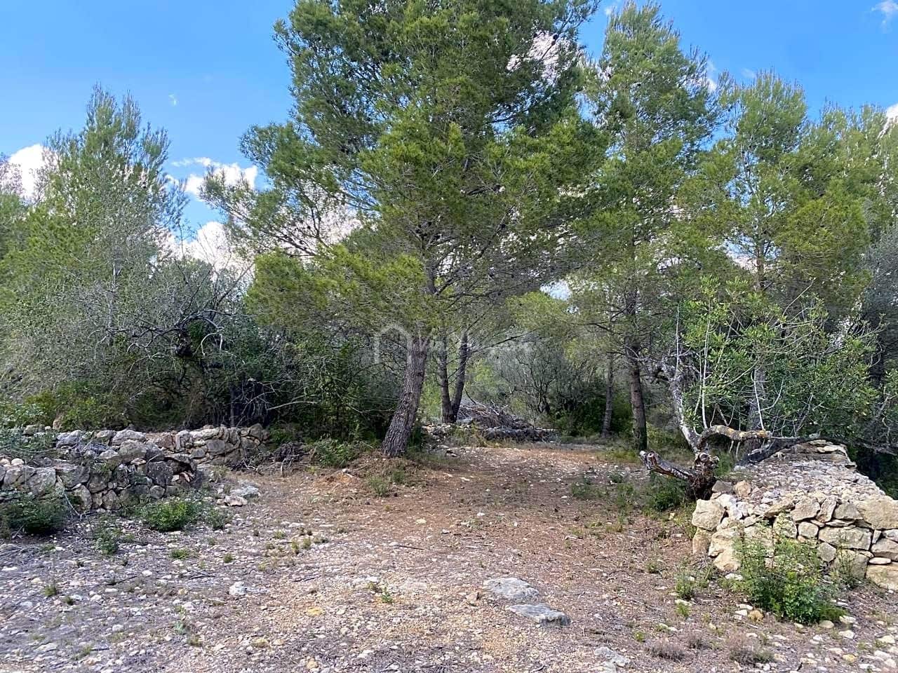 Terre non Aménagée à vendre à El Perello - 35 000 € (Ref: 7642285)