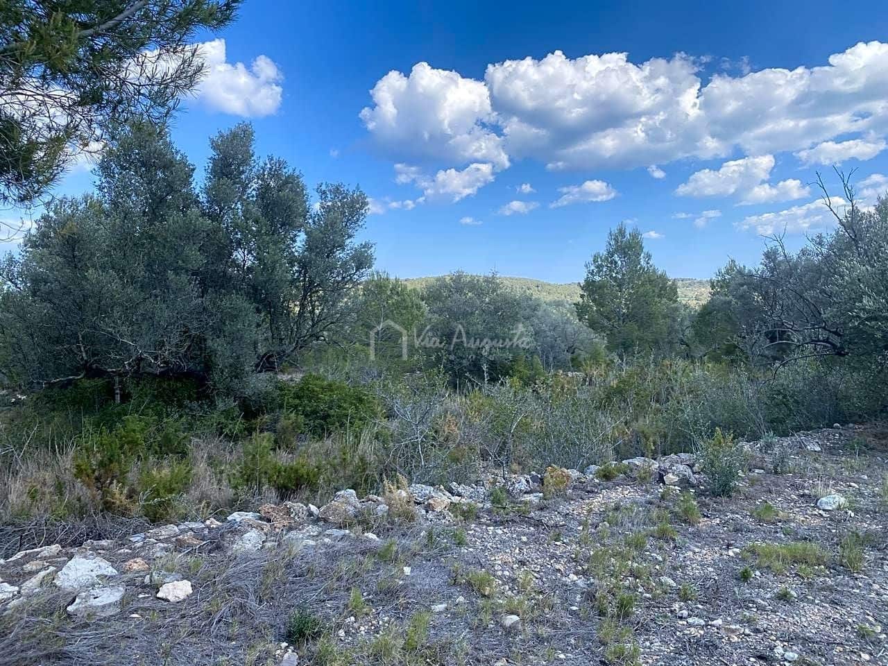 Terre non Aménagée à vendre à El Perello - 35 000 € (Ref: 7642285)