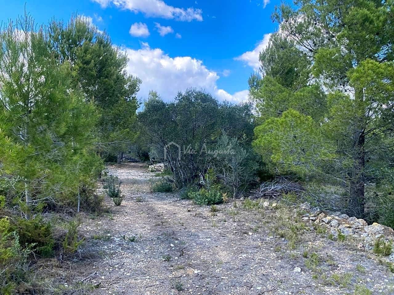 Terre non Aménagée à vendre à El Perello - 35 000 € (Ref: 7642285)