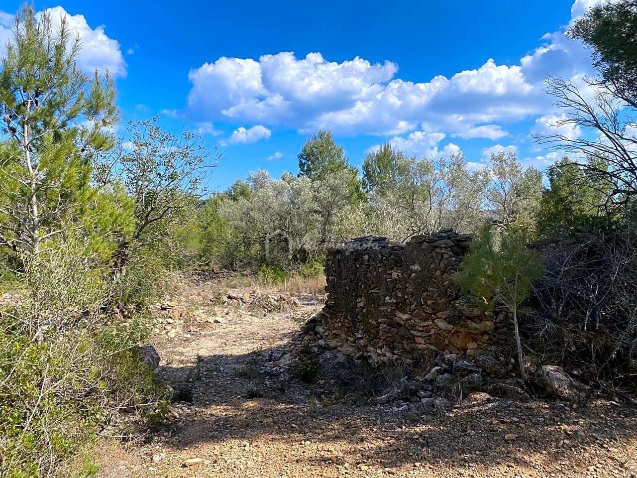 Terre non Aménagée à vendre à El Perello - 35 000 € (Ref: 7642285)