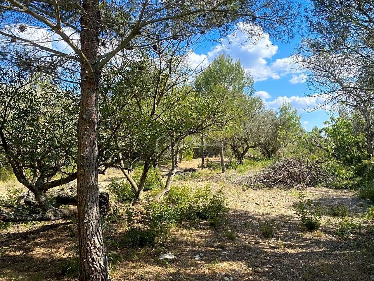 Terre non Aménagée à vendre à El Perello - 35 000 € (Ref: 7642285)