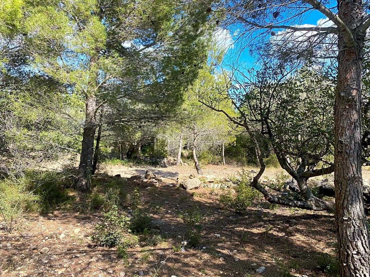 Terre non Aménagée à vendre à El Perello - 35 000 € (Ref: 7642285)