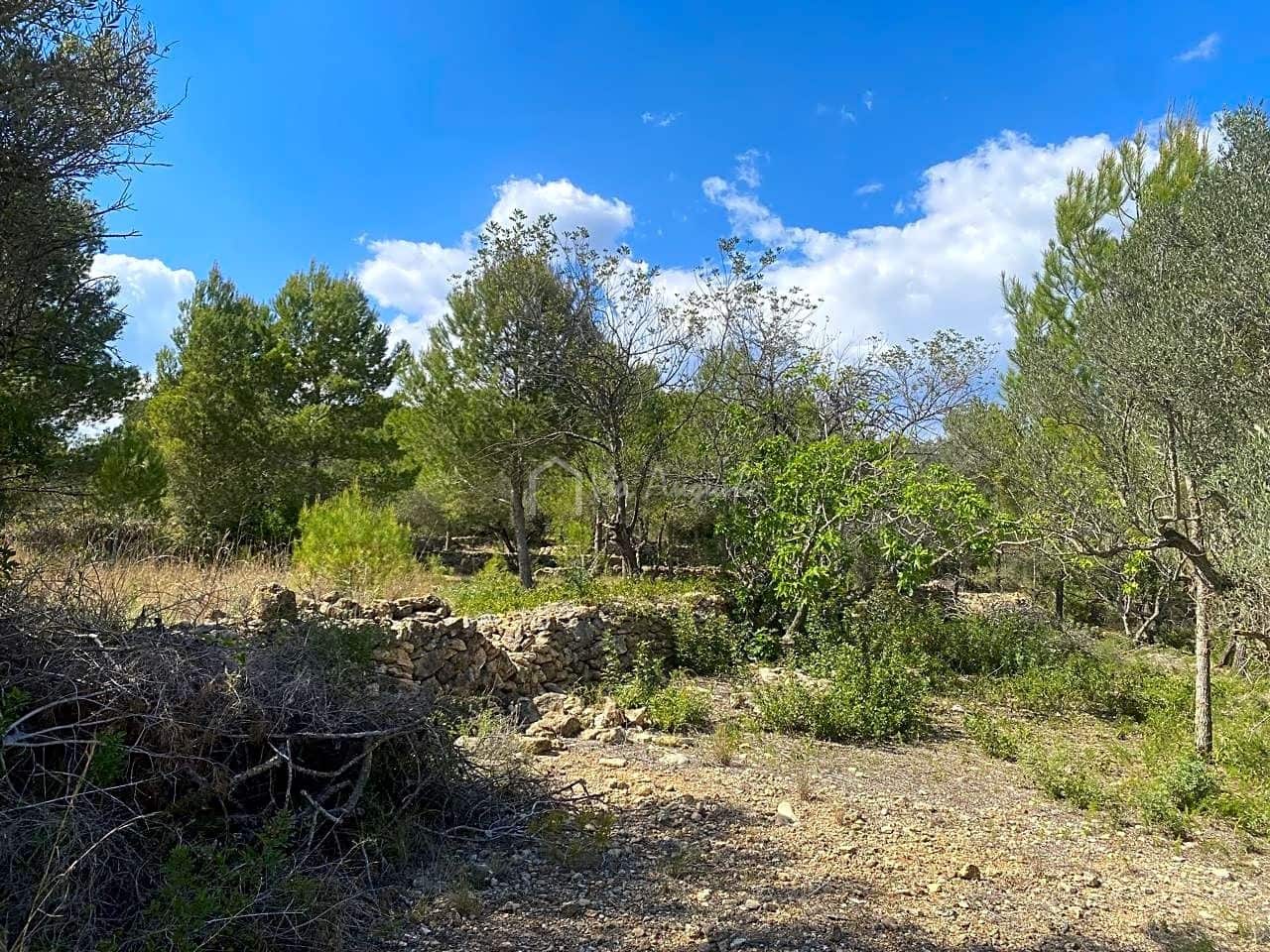 Terre non Aménagée à vendre à El Perello - 35 000 € (Ref: 7642285)