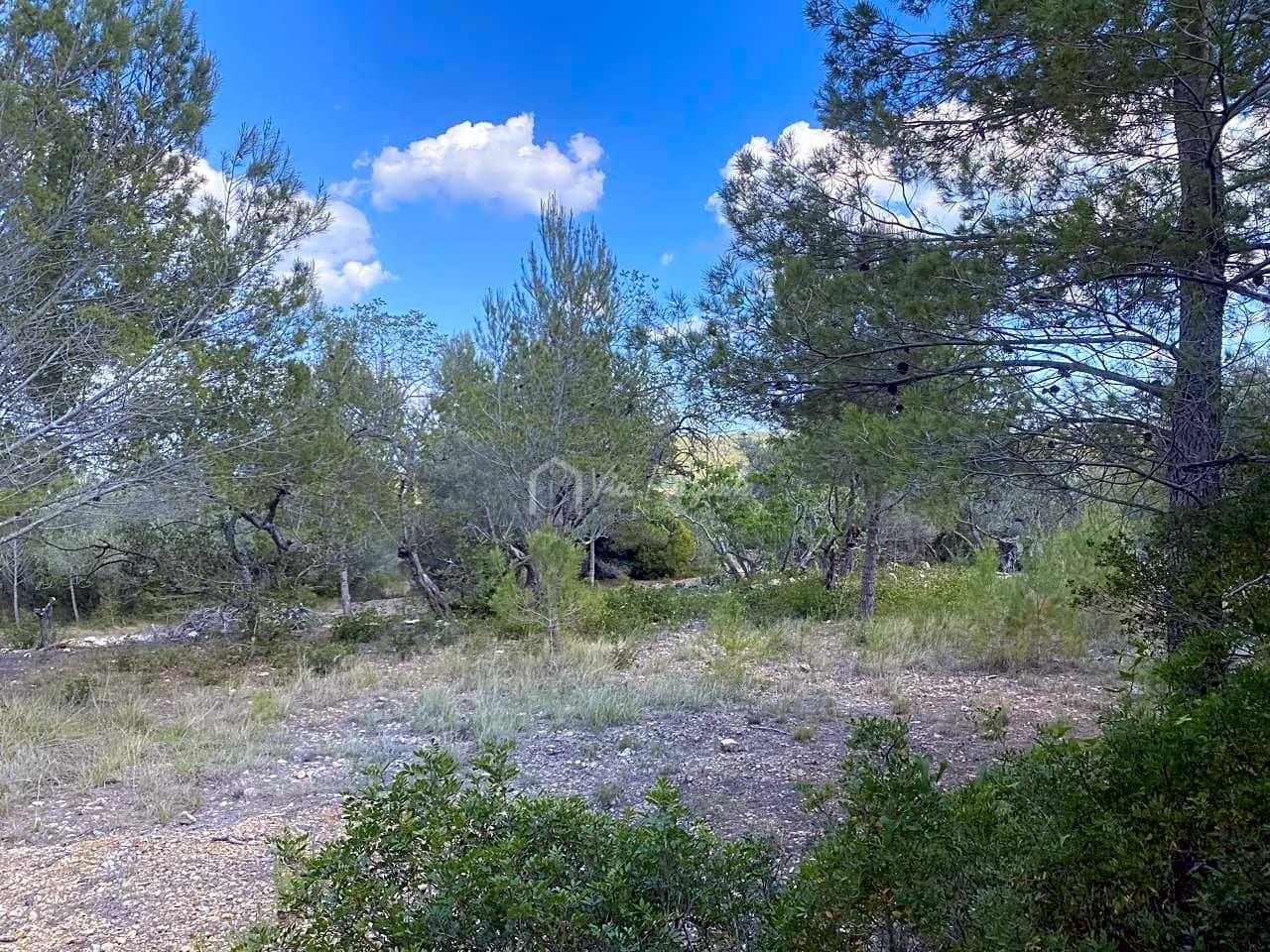 Terre non Aménagée à vendre à El Perello - 35 000 € (Ref: 7642285)