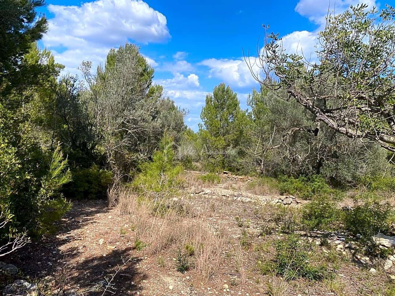 Terre non Aménagée à vendre à El Perello - 35 000 € (Ref: 7642285)