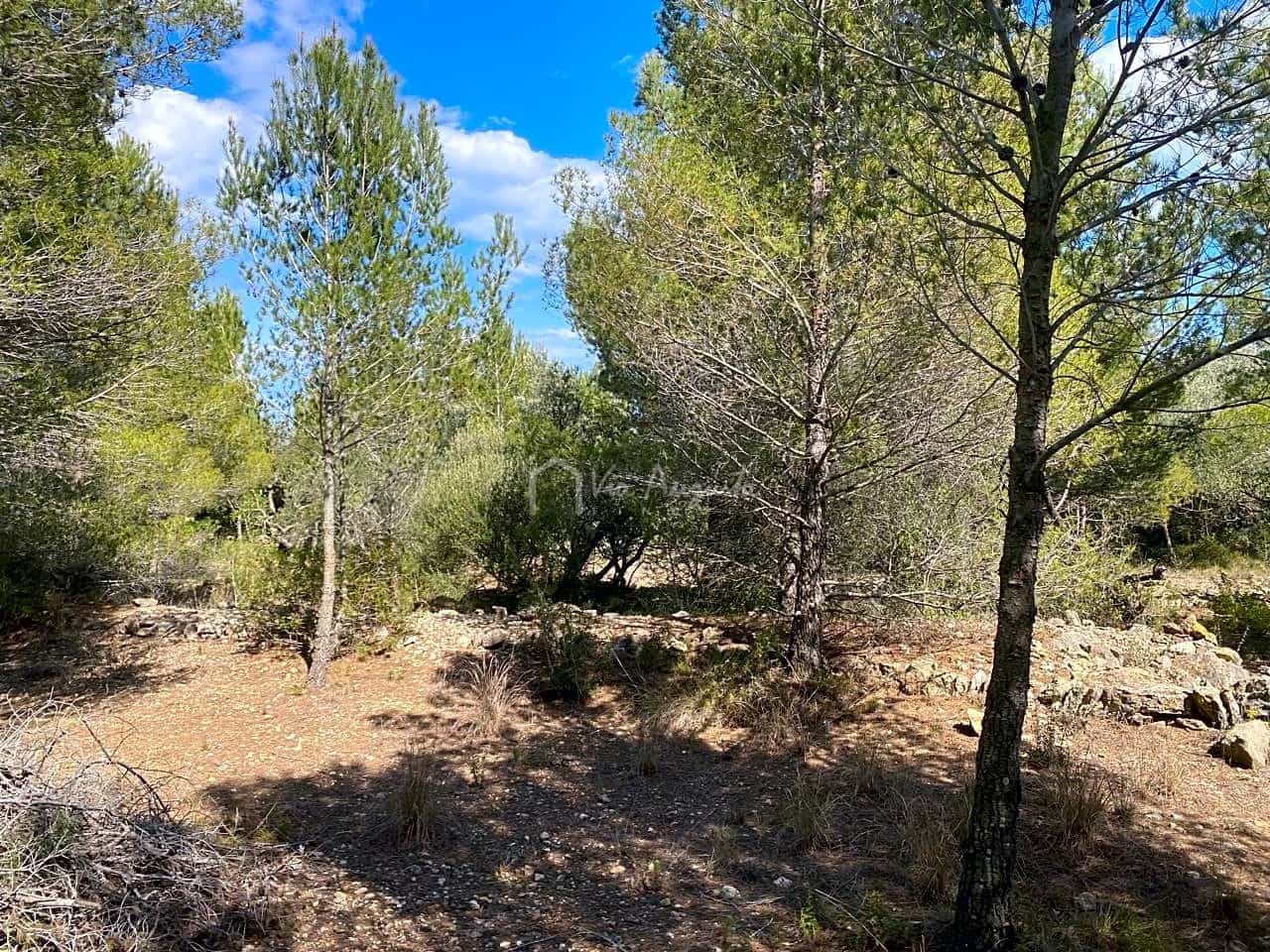 Terre non Aménagée à vendre à El Perello - 35 000 € (Ref: 7642285)