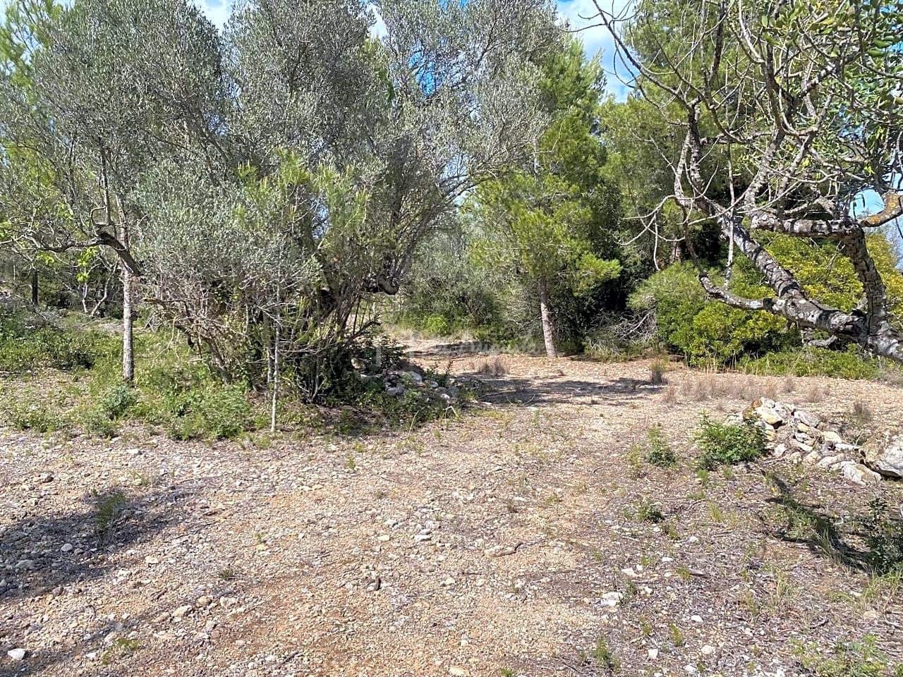 Terre non Aménagée à vendre à El Perello - 35 000 € (Ref: 7642285)