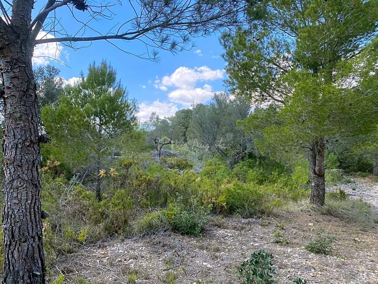 Terre non Aménagée à vendre à El Perello - 35 000 € (Ref: 7642285)