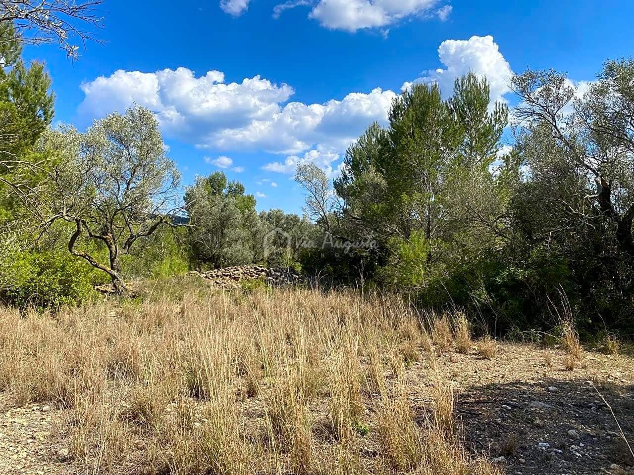 Terre non Aménagée à vendre à El Perello - 35 000 € (Ref: 7642285)