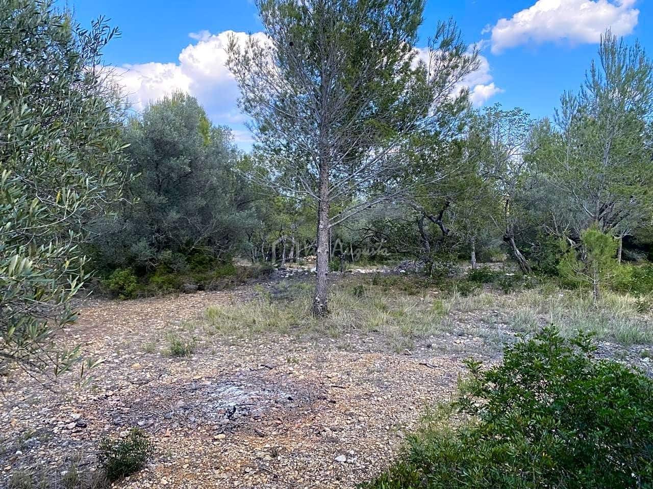 Terre non Aménagée à vendre à El Perello - 35 000 € (Ref: 7642285)