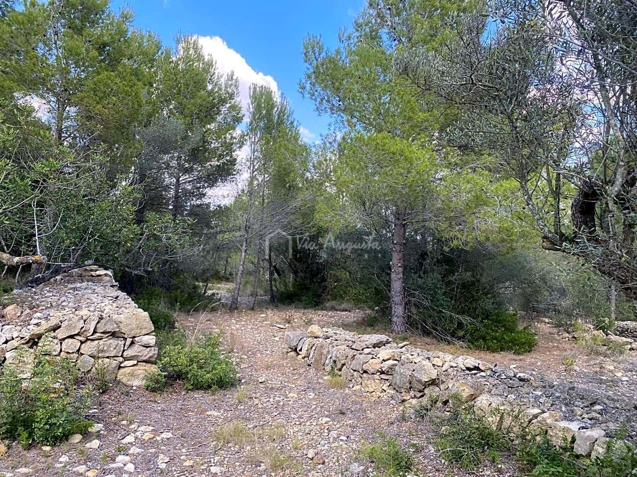 Terre non Aménagée à vendre à El Perello - 35 000 € (Ref: 7642285)