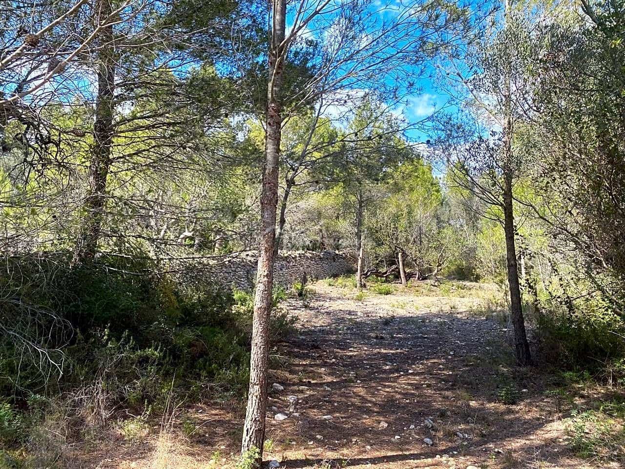 Terre non Aménagée à vendre à El Perello - 35 000 € (Ref: 7642285)