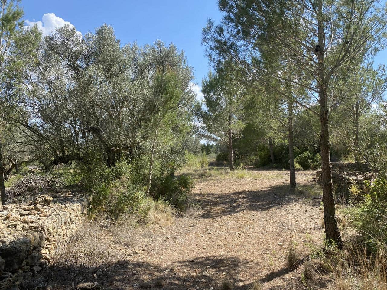 Terreno/Finca Rústica en El Perelló en venta - 35.000 € (Ref: 7642285)