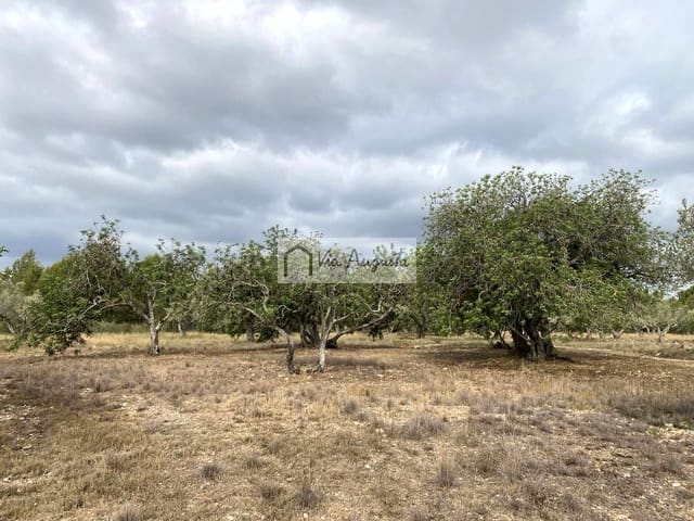 Undeveloped Land for sale in El Perelló - € 55,000 (Ref: 7642286)