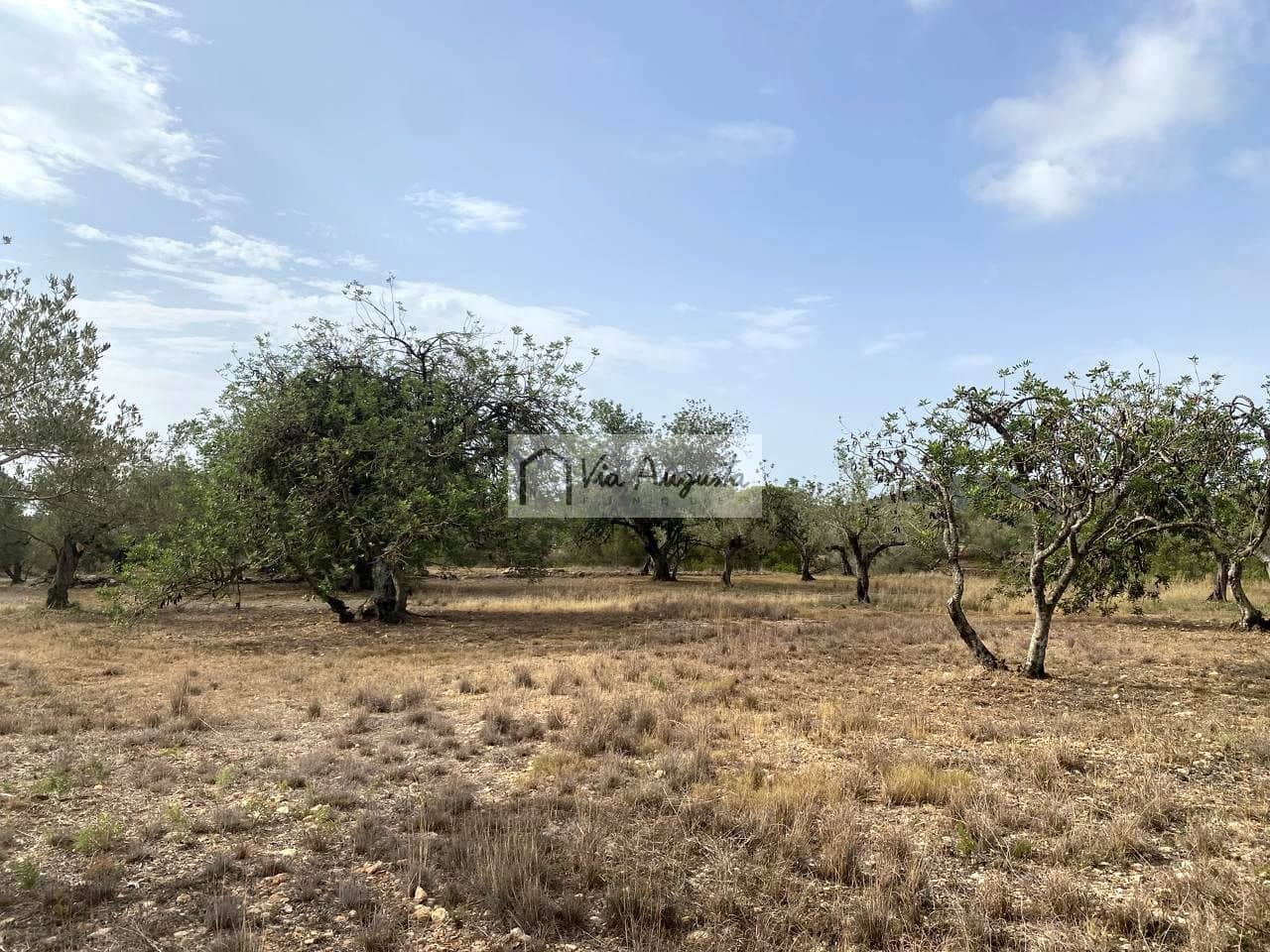 Terre non Aménagée à vendre à El Perello - 55 000 € (Ref: 7642286)