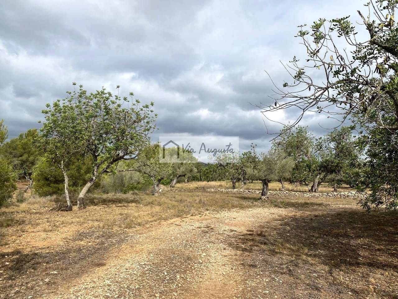 Terre non Aménagée à vendre à El Perello - 55 000 € (Ref: 7642286)