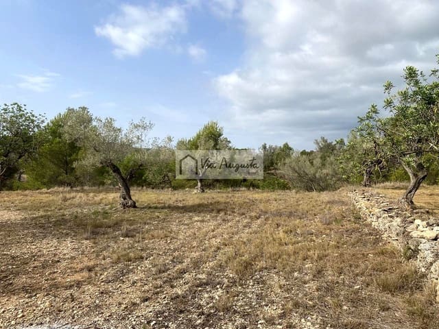Undeveloped Land for sale in El Perelló - € 55,000 (Ref: 7642286)