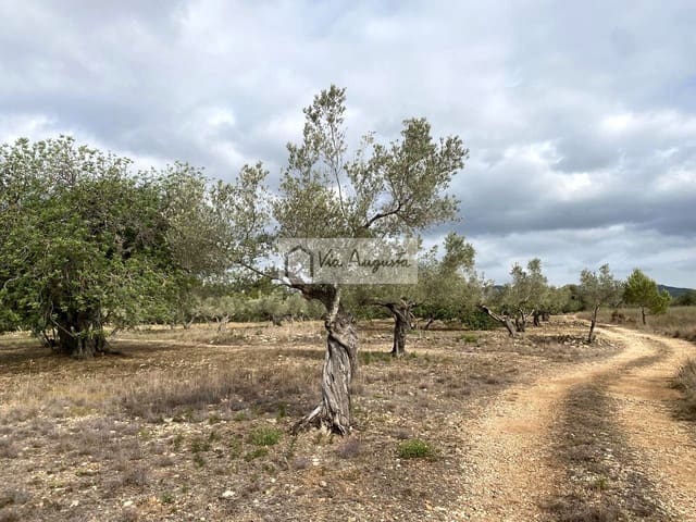 Undeveloped Land for sale in El Perelló - € 55,000 (Ref: 7642286)