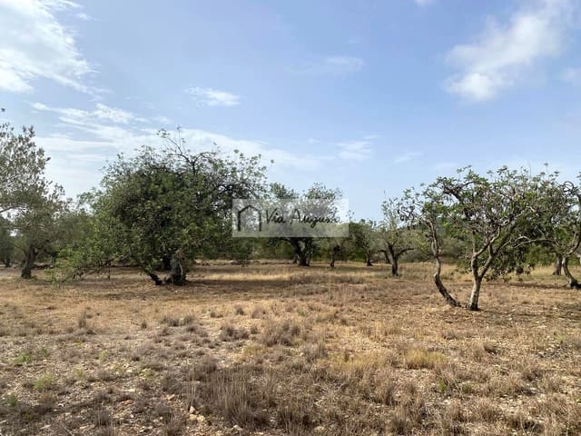 Undeveloped Land for sale in El Perelló - € 55,000 (Ref: 7642286)