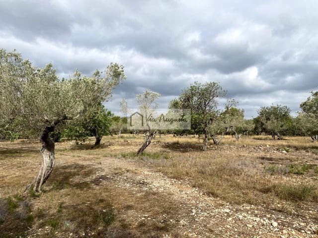 Undeveloped Land for sale in El Perelló - € 55,000 (Ref: 7642286)