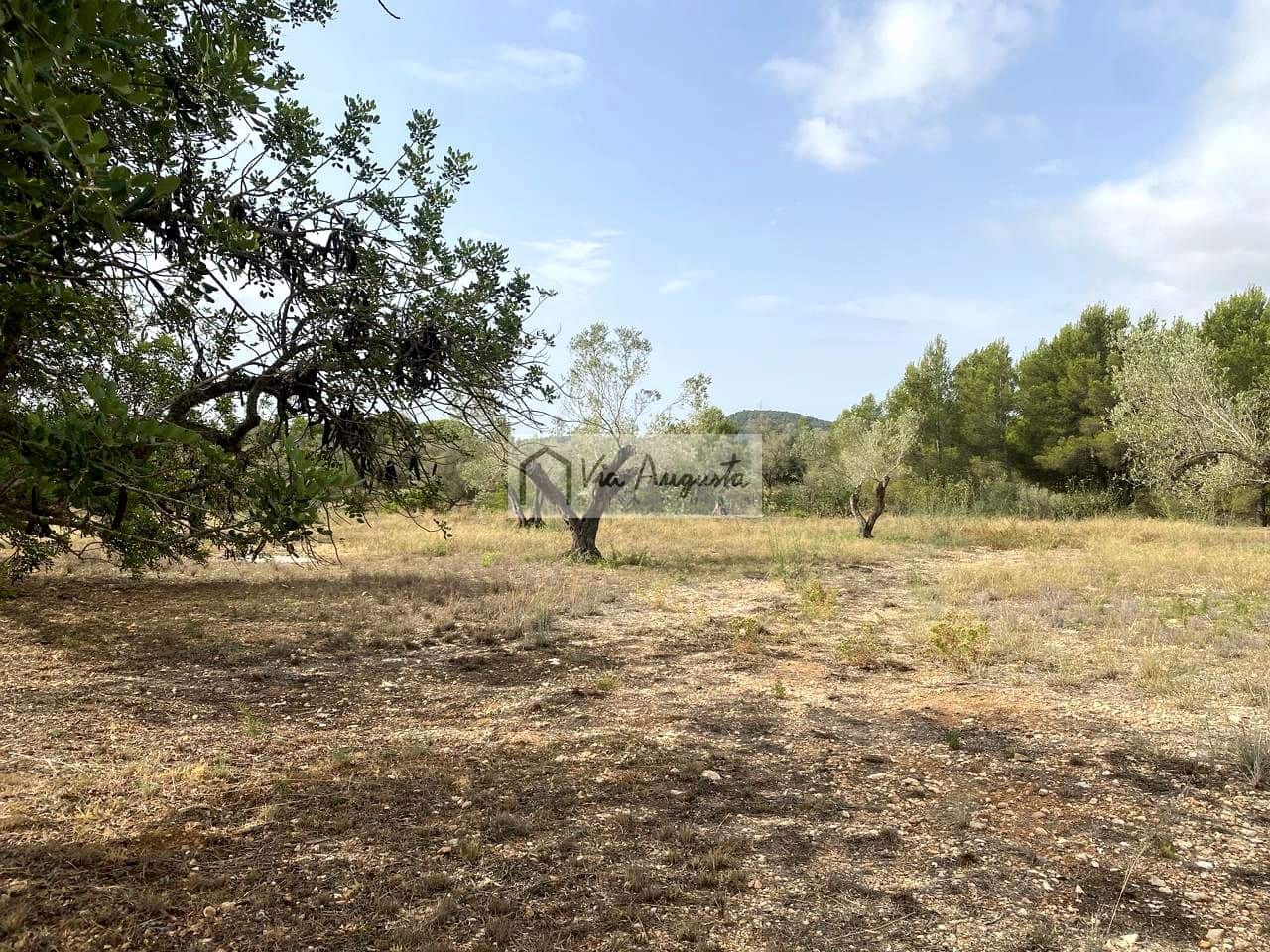Terre non Aménagée à vendre à El Perello - 55 000 € (Ref: 7642286)