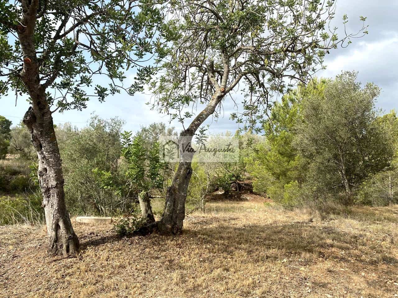 Terre non Aménagée à vendre à El Perello - 55 000 € (Ref: 7642286)