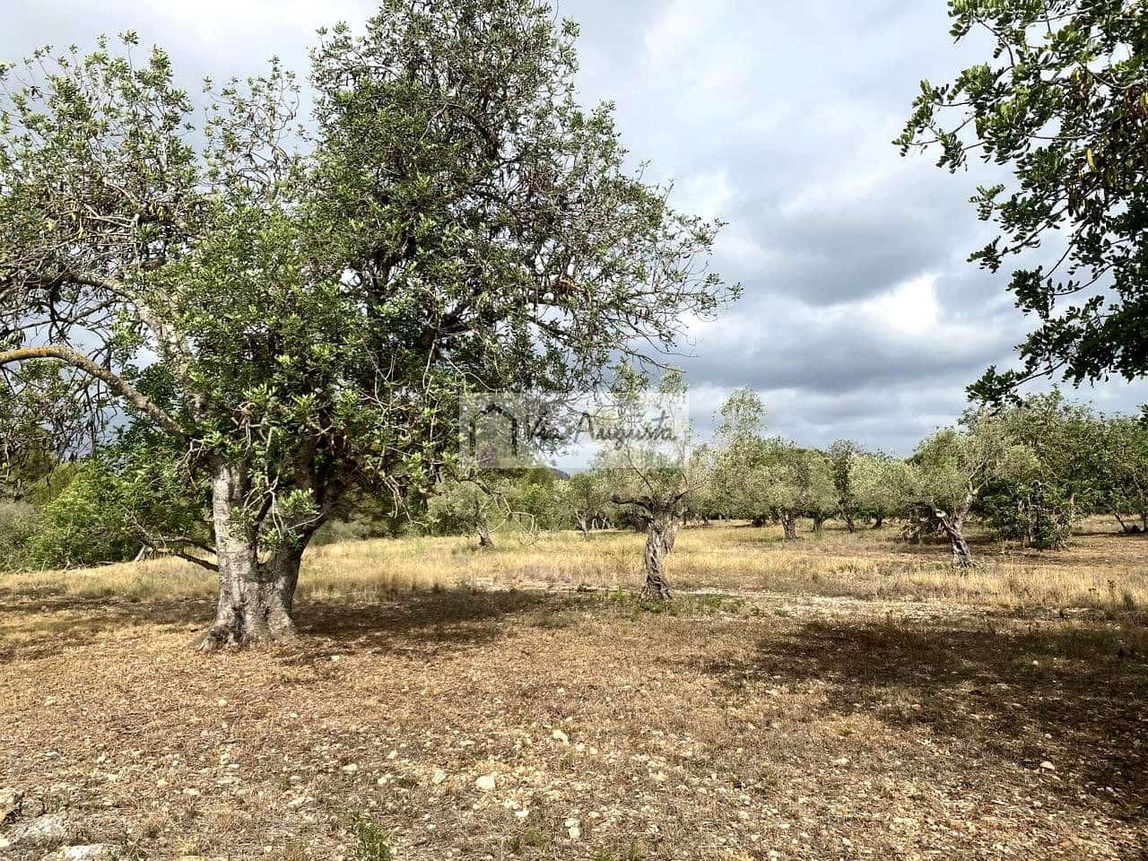 Terre non Aménagée à vendre à El Perello - 55 000 € (Ref: 7642286)