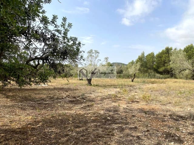 Undeveloped Land for sale in El Perelló - € 55,000 (Ref: 7642286)