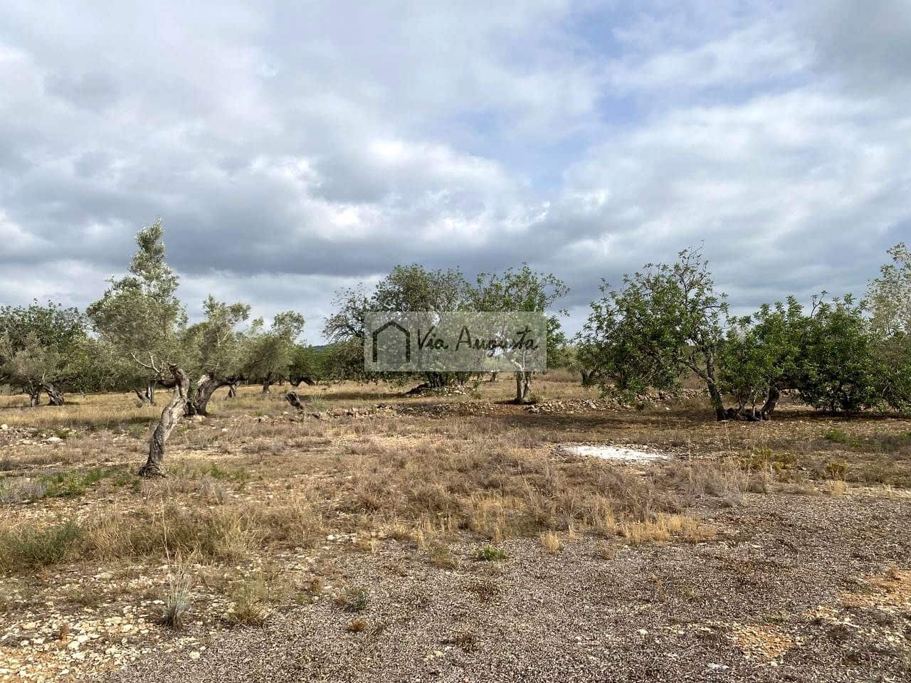 Terre non Aménagée à vendre à El Perello - 55 000 € (Ref: 7642286)