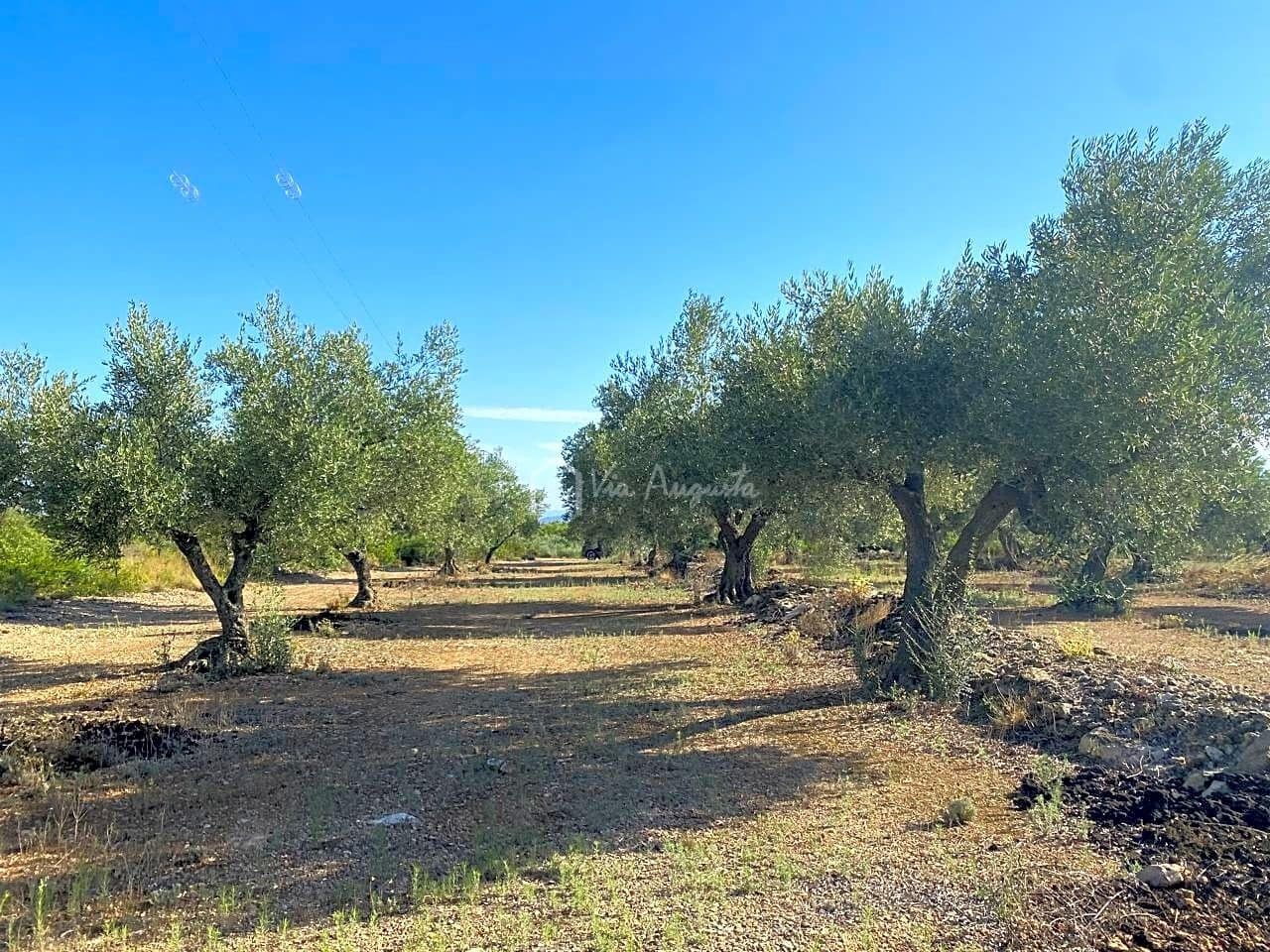 Grunde uden byggetilladelser til salg i El Perello - € 25.000 (Ref: 7666566)