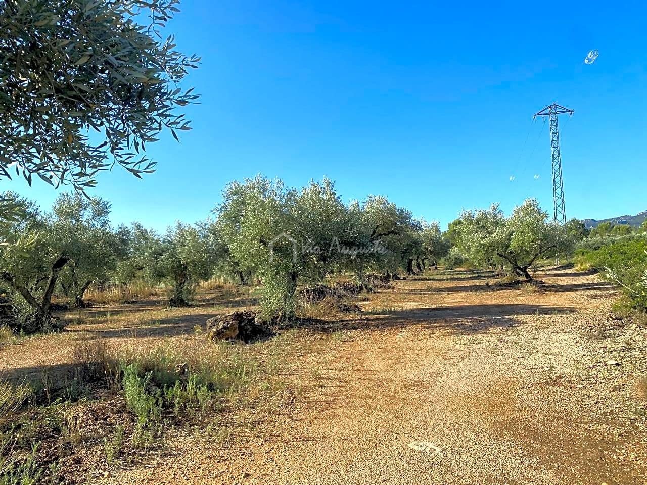 Grunde uden byggetilladelser til salg i El Perello - € 25.000 (Ref: 7666566)