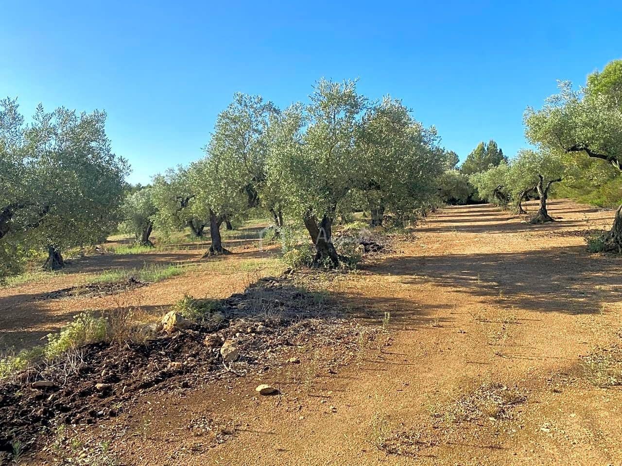 Grunde uden byggetilladelser til salg i El Perello - € 25.000 (Ref: 7666566)