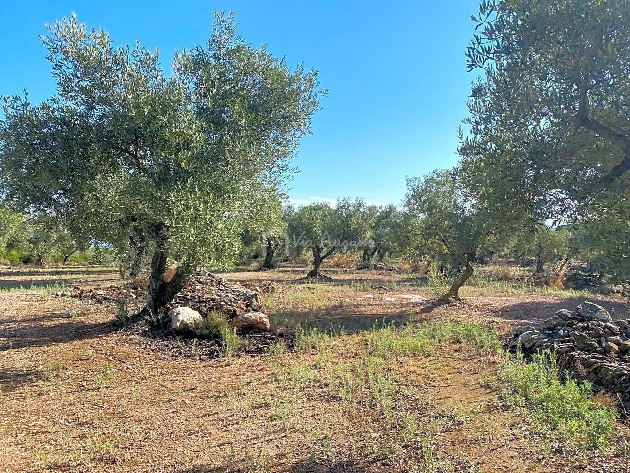 Grunde uden byggetilladelser til salg i El Perello - € 25.000 (Ref: 7666566)