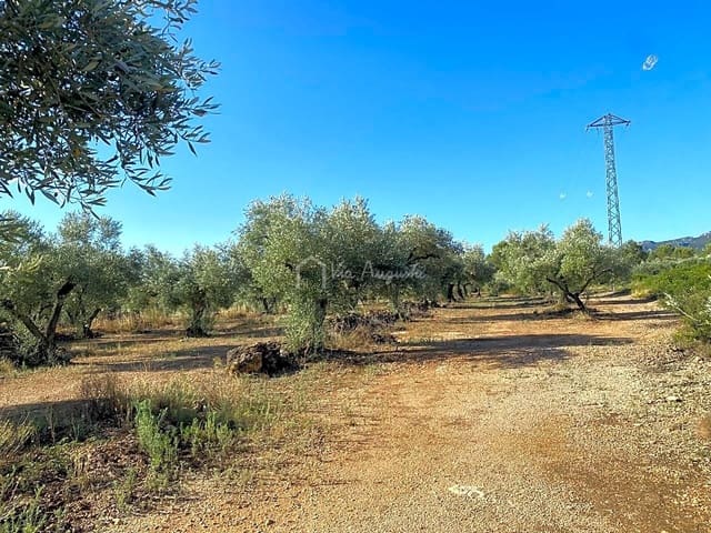 Terre non Aménagée à vendre à El Perelló - 25 000 € (Ref: 7666566)