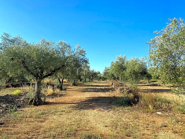 Terre non Aménagée à vendre à El Perelló - 25 000 € (Ref: 7666566)