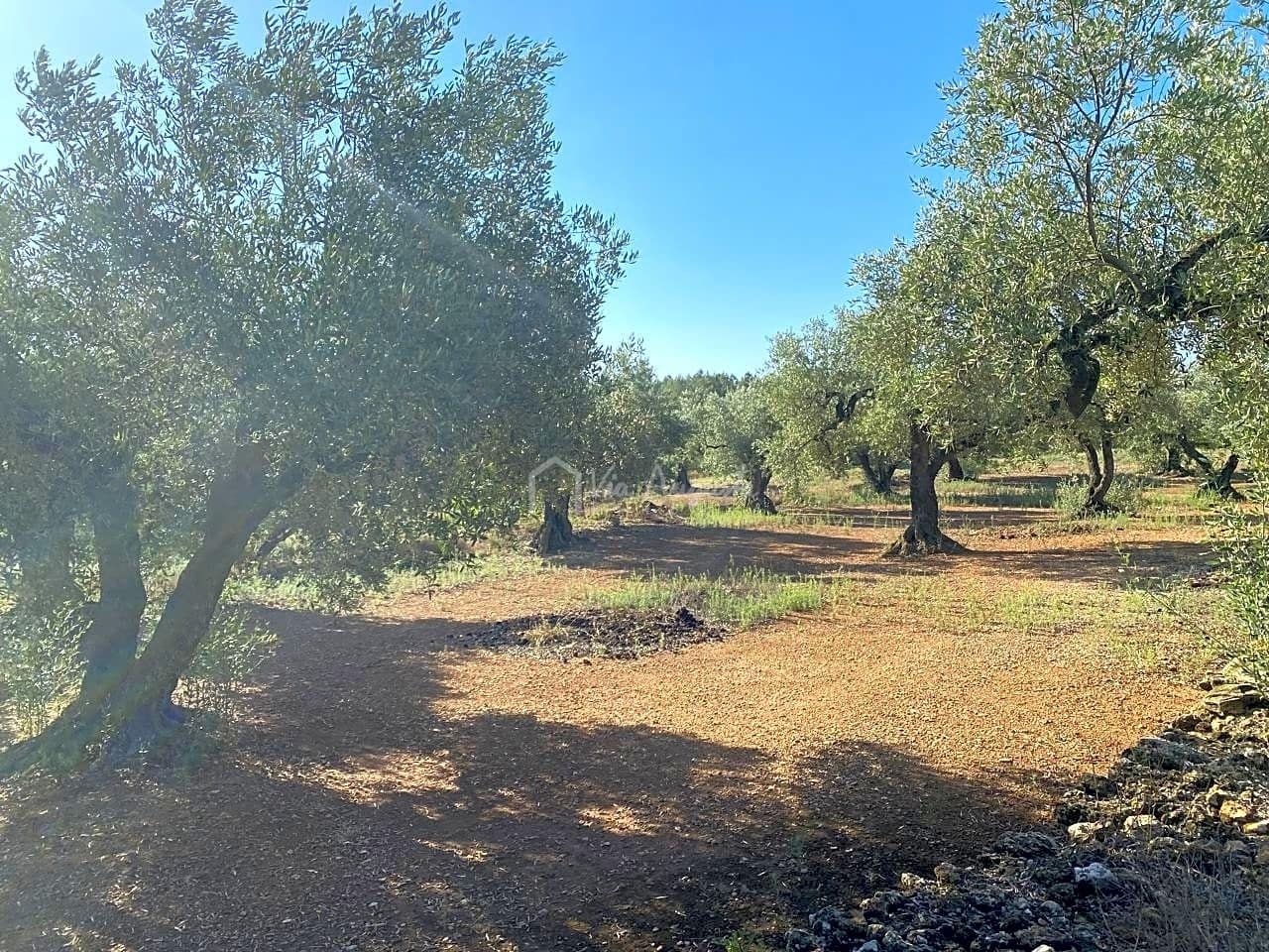 Grunde uden byggetilladelser til salg i El Perello - € 25.000 (Ref: 7666566)